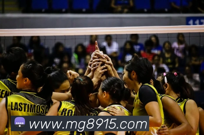 MG冰球突破平台生态图